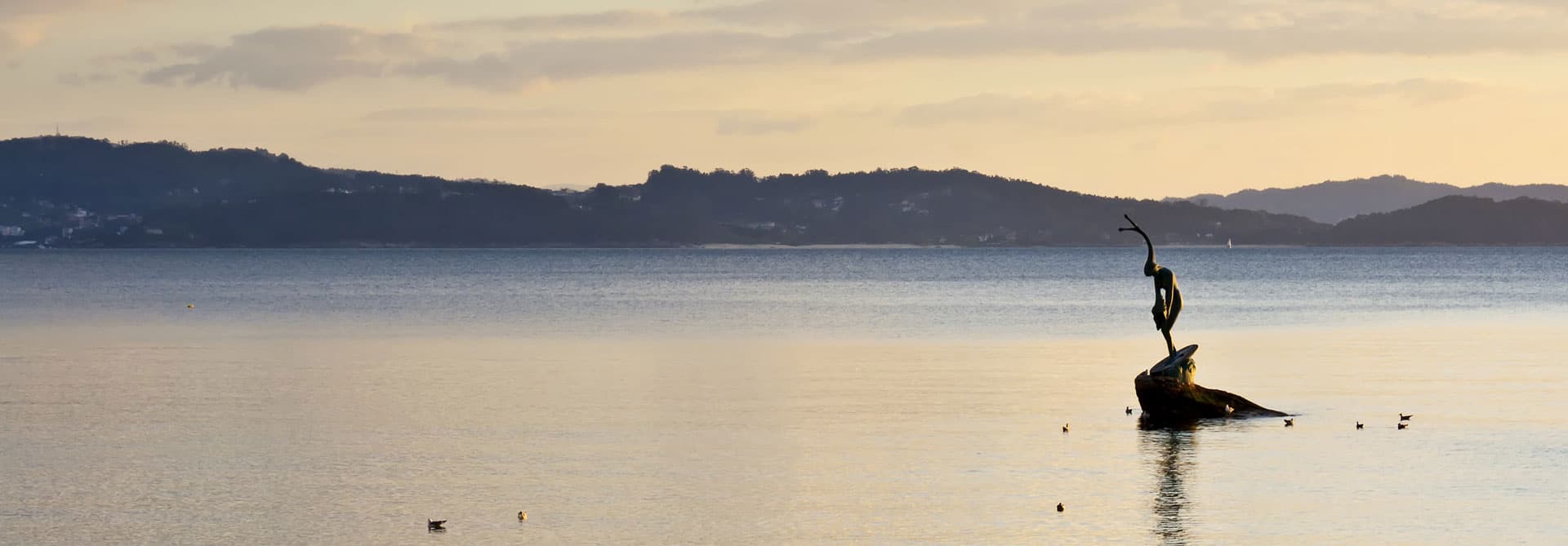 Sitios para tomar algo en Sanxenxo